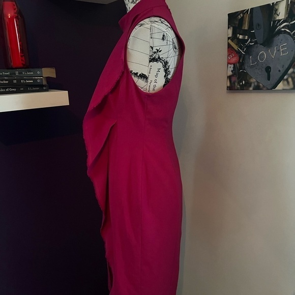Rachel Roy Sleeveless Fuchsia Dress NWT - Picture 5 of 9